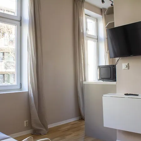 Sentrumsnaer Studioleilighet Oslo